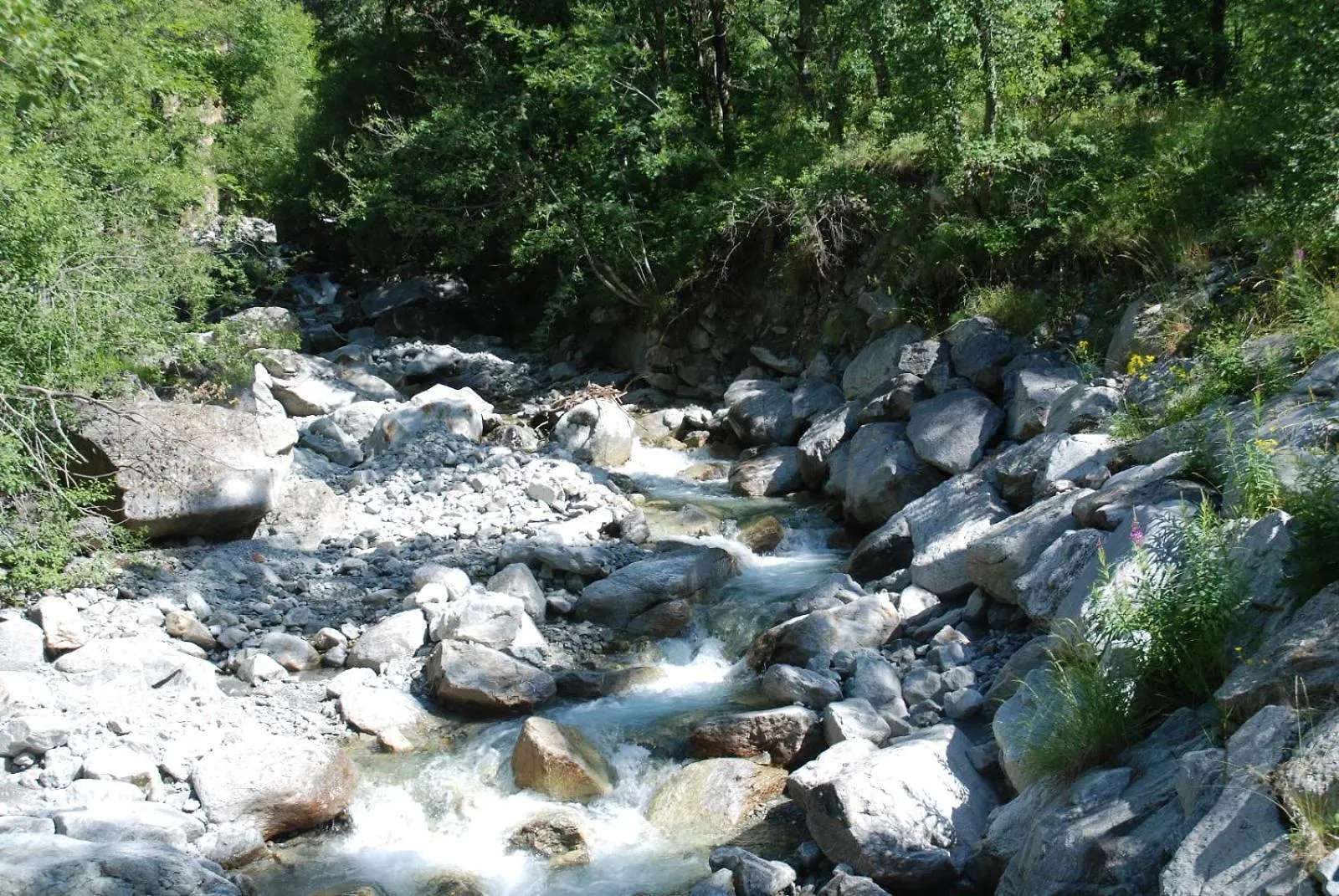 Les Gites De L'E.D.E. Saint-Leger-les-Melezes